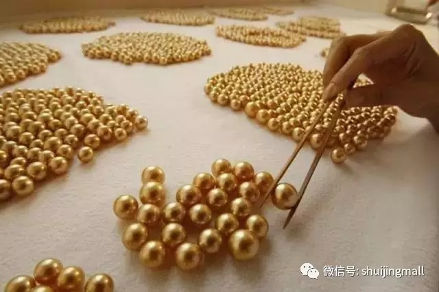 “珍珠之王”——南洋金珠