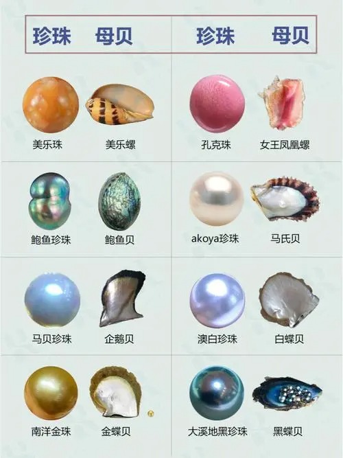 珍珠的种类有多少？